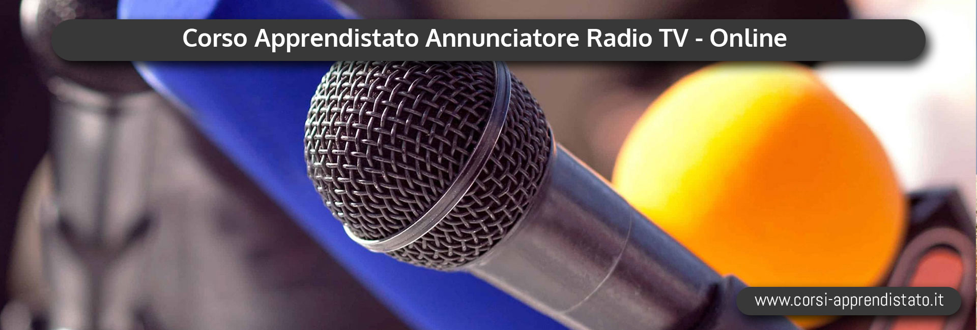 Apprendistato Annunciatore Radio e TV