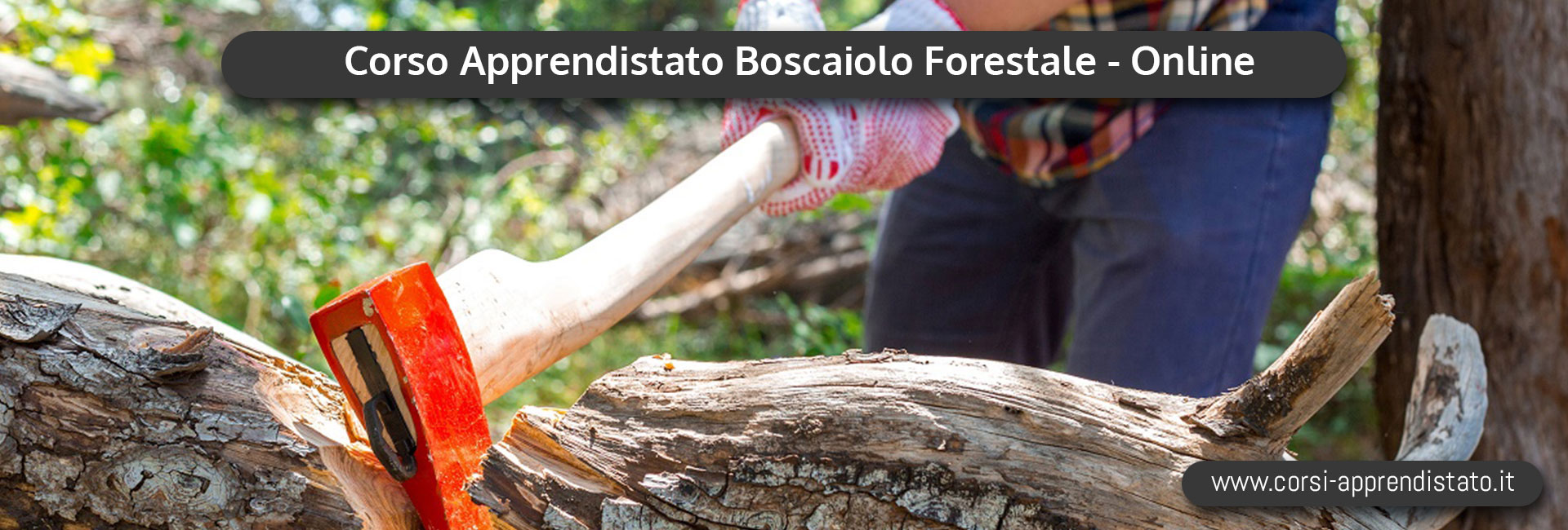 Apprendistato Boscaiolo Forestale