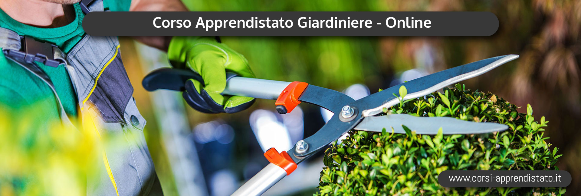 Apprendistato Giardiniere