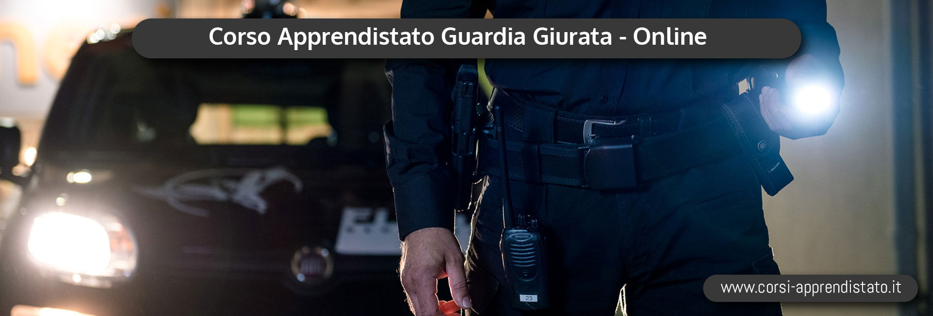 Apprendistato Guardia Giurata
