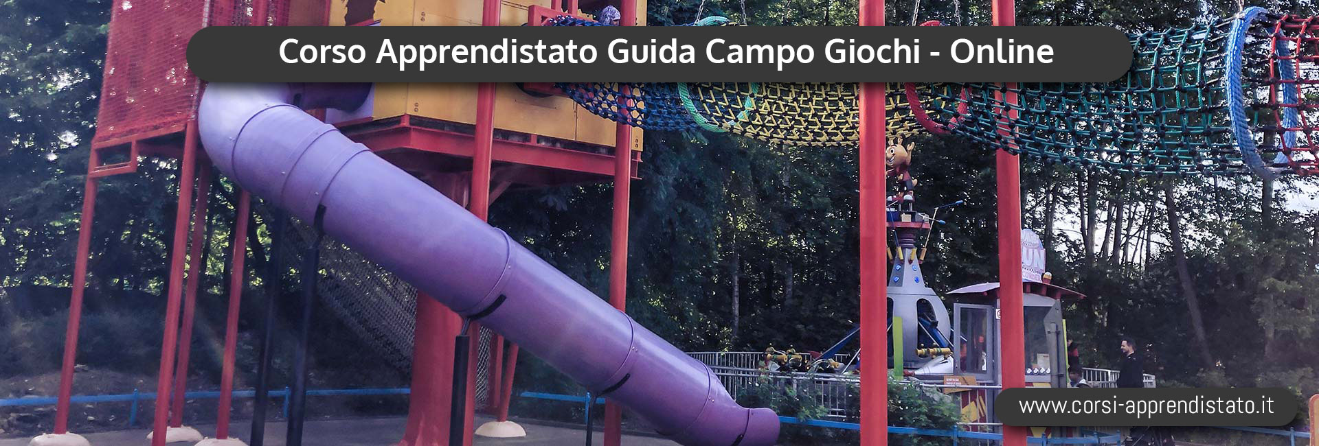 Apprendistato Guida Parchi Giochi