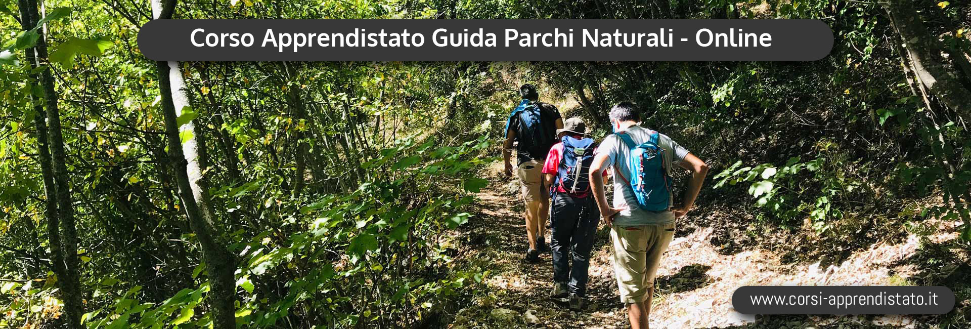 Apprendistato Guida Parchi Naturali