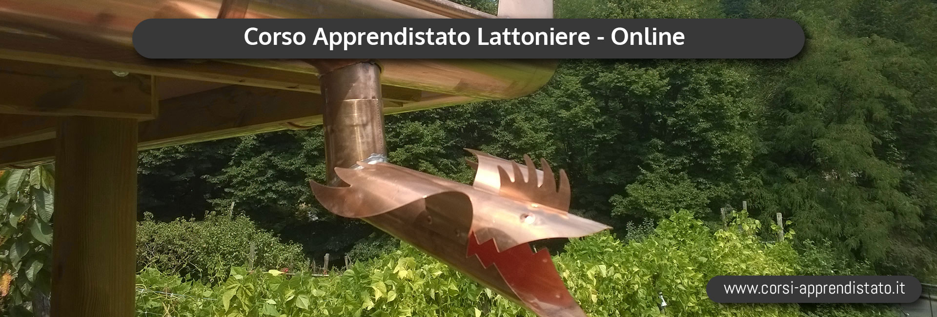 Apprendistato Lattoniere