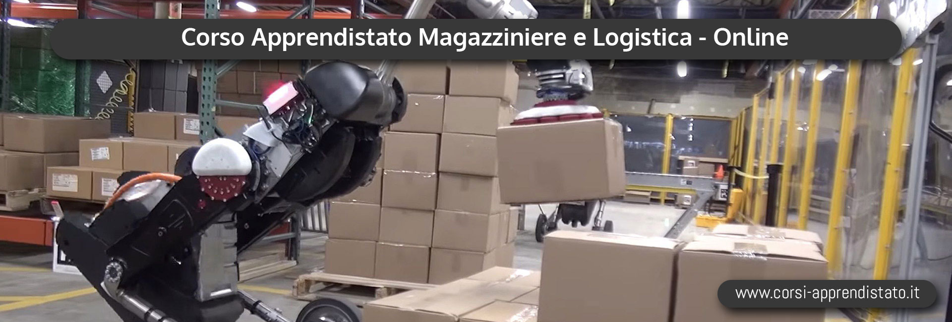 Apprendistato Magazziniere e Logistica