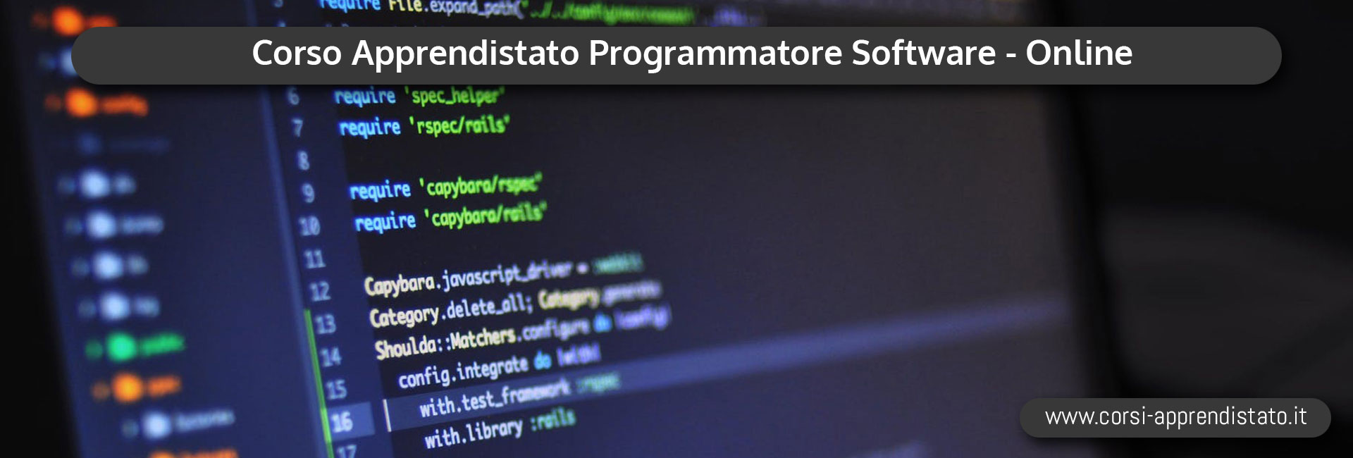 Apprendistato Programmatore Software